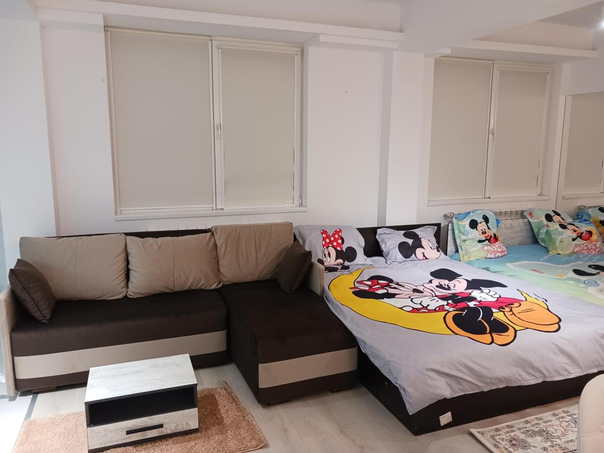 Myky Mouse Nu Primesc Santieristi Si Petrecareti Lägenhet Bukarest Exteriör bild